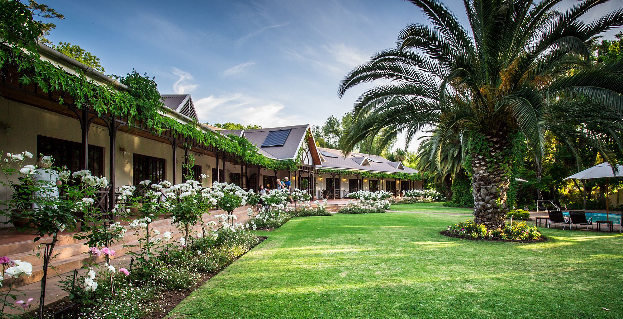 Hlangana Lodge gardens with palms and garden-facing rooms